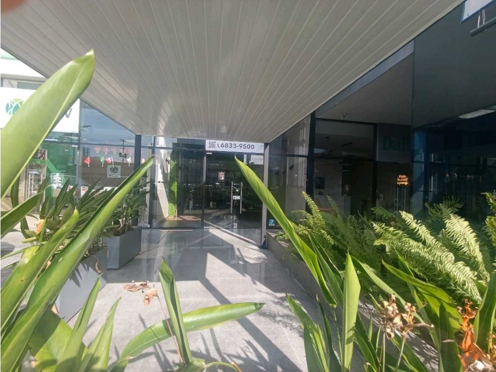 ALQUILER LOCAL 90 M2, 160 M2 EN ROYAL BLUE PLAZA LT — foto 5