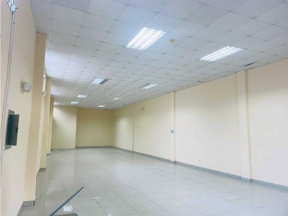 ALQUILER LOCAL COMERCIAL EN DAVID CON 160 M2 y 7 M2 de Altura — foto 3