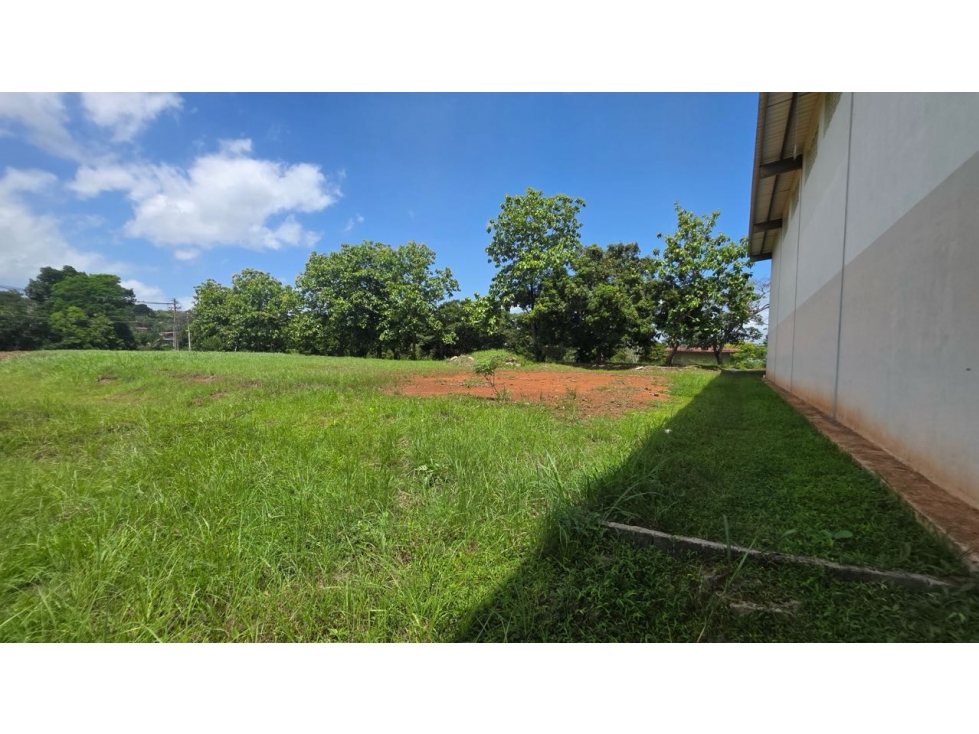 Alquiler o venta de terreno en Arraiján — foto 5
