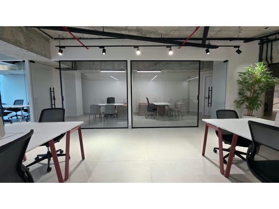 ALQUILER OFICINA AMOBLADA EN COSTA DEL ESTE 188M2 FINANCIAL PARK JP - 5