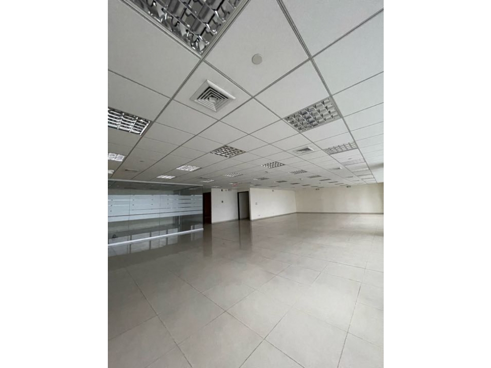 Alquiler Oficina Punta Pacifica 530.86 m² - 1