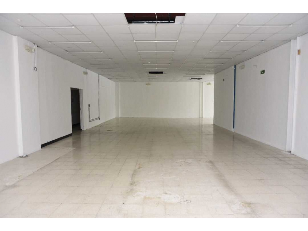 Alquiler Local Planta Baja de 270m2 en Plaza El Cangrejo PT — foto 5