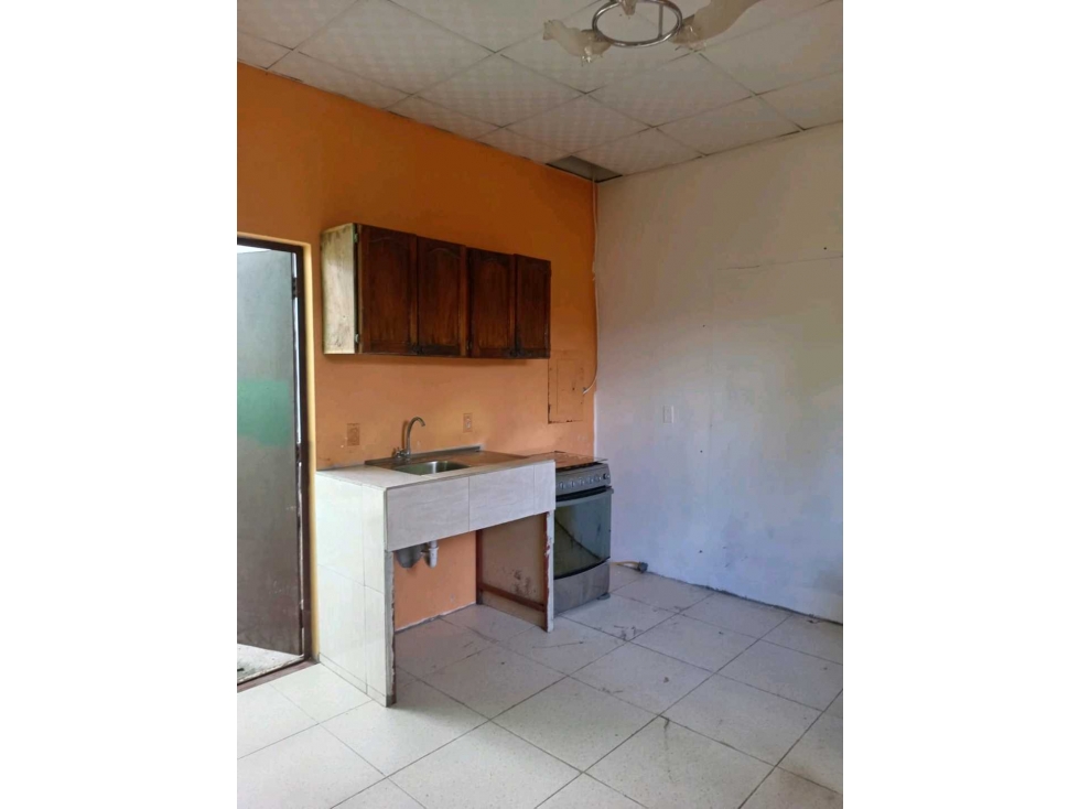 ALQUILO APARTAMENTO 1 HAB MAE LEWIS DAVID — foto 4