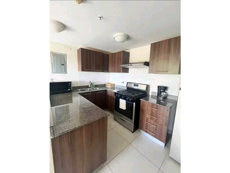 VENDO APARTAMENTO PANAMA PACIFICO PH MADRISE — foto 2