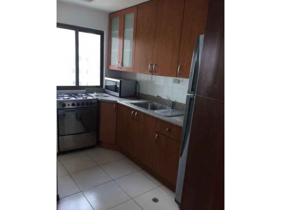 ALQUILER APARTAMENTO AMOBLADO PUNTA PACIFICA — foto 4