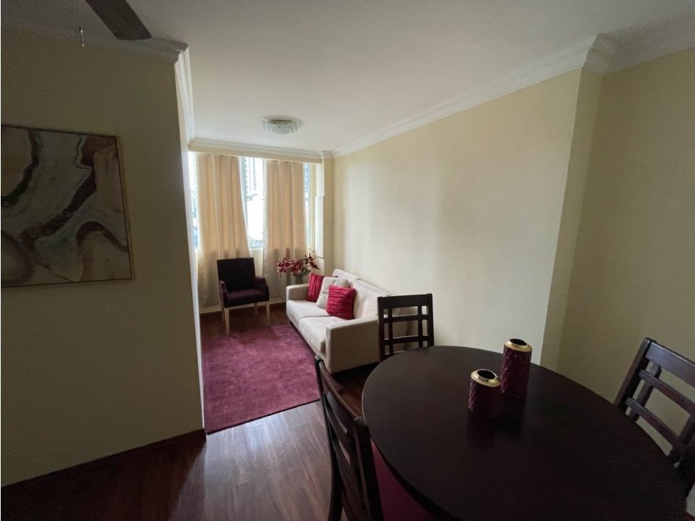 VENDO APARTAMENTO, PH BRISAS DE SAN FERNANDO - VIA ESPAÑA — foto 3