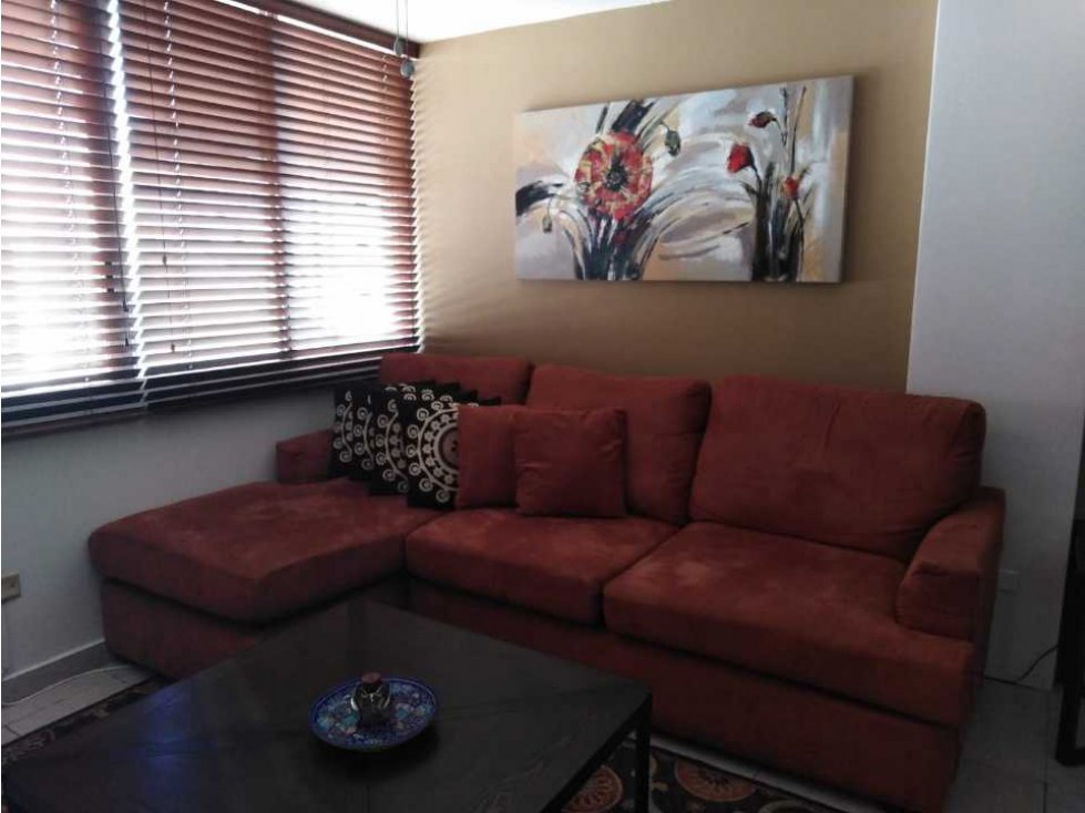 ALQUILO apartamento AMOBLADO en san francisco,PH TERRAZAS DE SAN FRANC