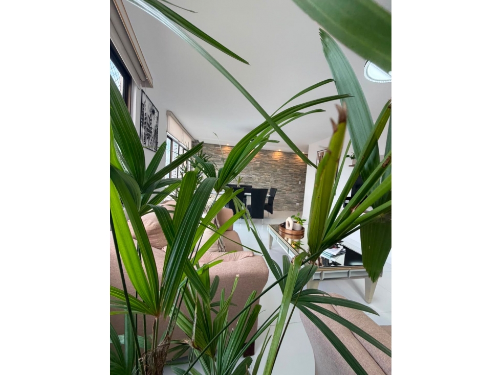 Alquilo bello apartamento amoblado en San Francisco 1200$ - 4