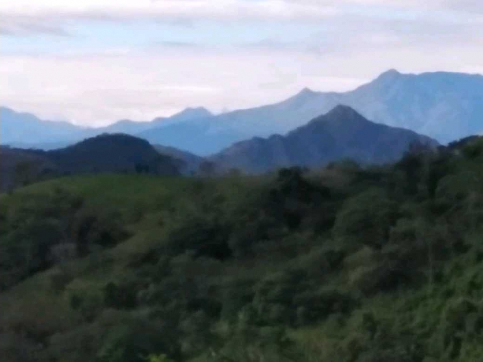 ALQUILO BUS AMOBLADO VIA GUALACA - 3