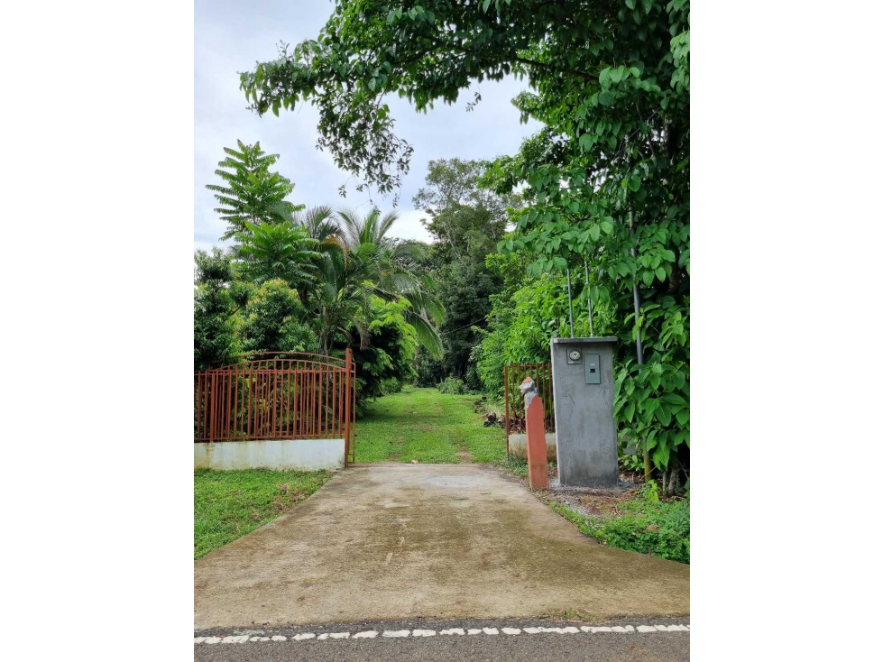 ALQUILO CASA EN DAVID SIN VECINOS CERCA AMOBLADA — foto 3