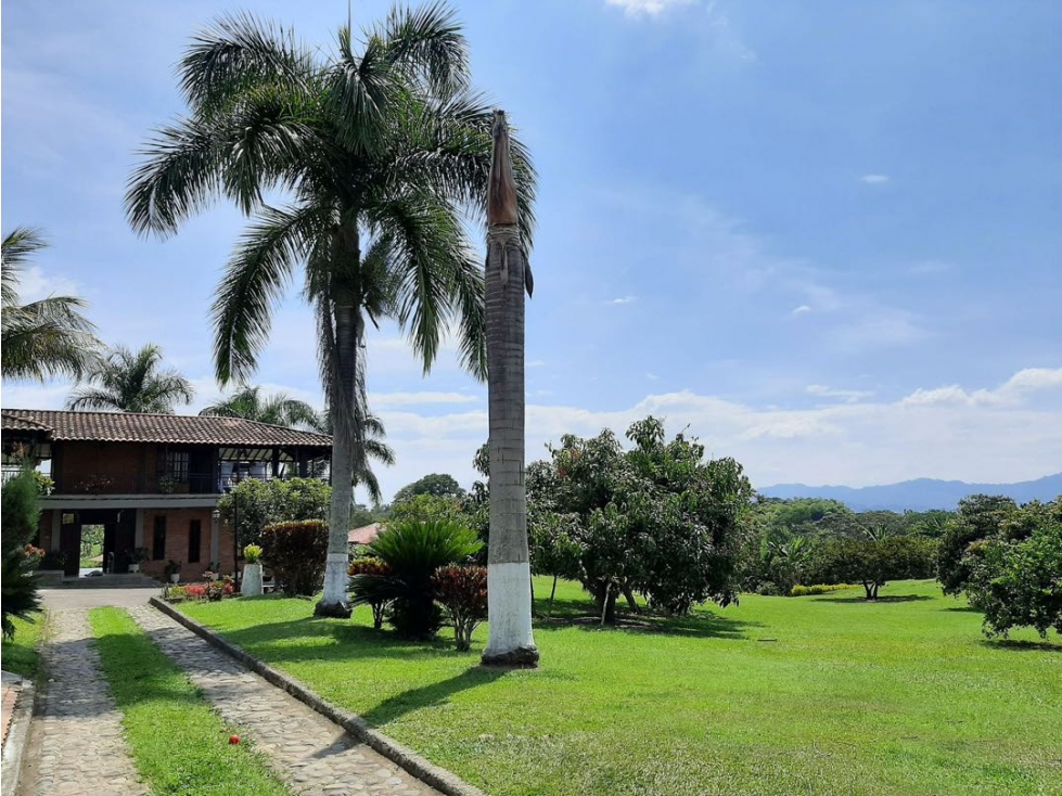 VENDO O ALQUILO CASA-FINCA CERCA A ALCALÁ