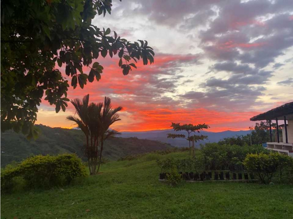 ALQUILO HERMOSA FINCA TIPICA EN PALESTINA, CALDAS CAP 10 PAX - 2