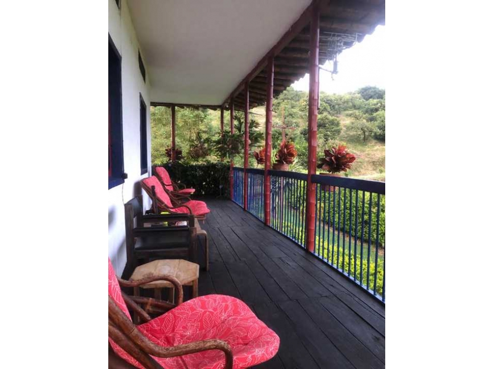 ALQUILO HERMOSA FINCA TIPICA EN PALESTINA, CALDAS CAP 10 PAX - 3