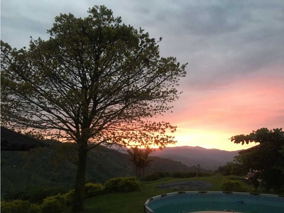 ALQUILO HERMOSA FINCA TIPICA EN PALESTINA, CALDAS CAP 10 PAX - 4