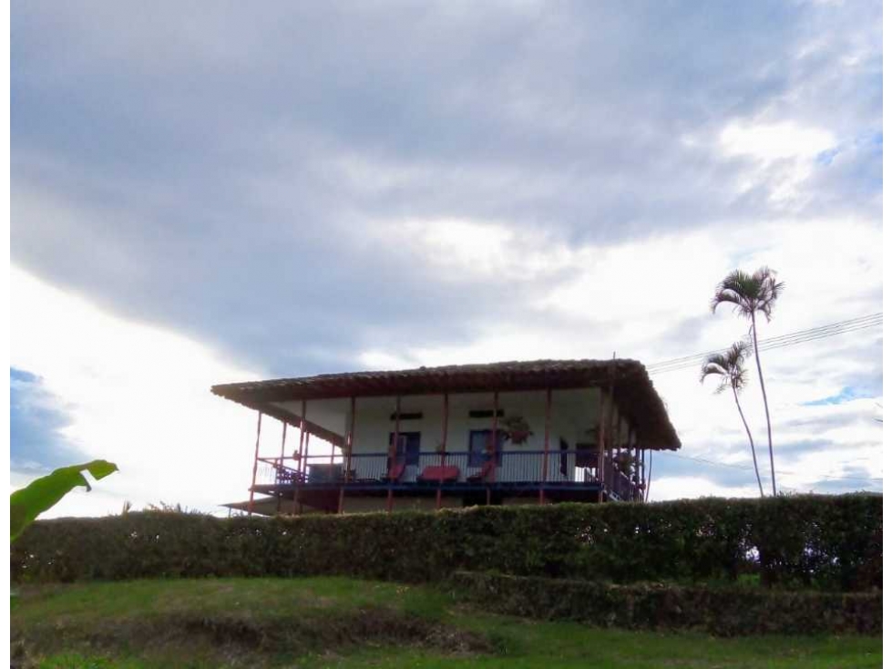 ALQUILO HERMOSA FINCA TIPICA EN PALESTINA, CALDAS CAP 10 PAX - 5