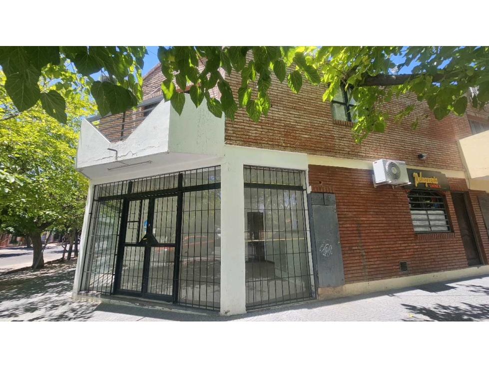 ALQUILO· LOCAL ·50M2 · ZONA LAS CAÑAS · DORREGO GUAYMALLEN - 6