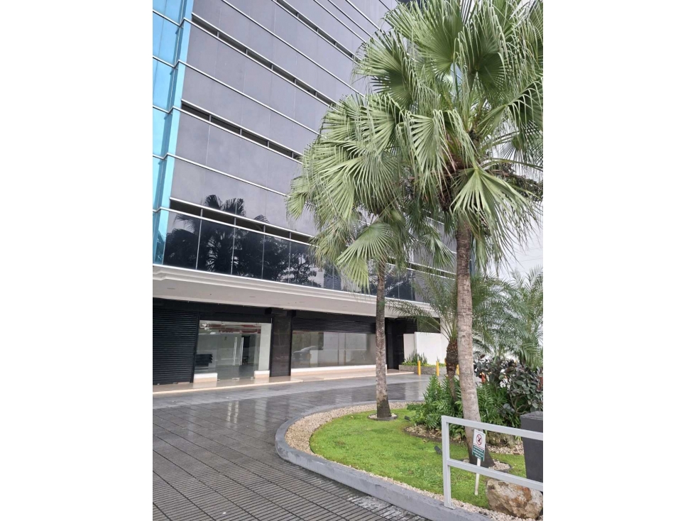 ALQUILO LOCAL COMERCIAL DE 1,350M2 EN CALLE URUGUAY — foto 2