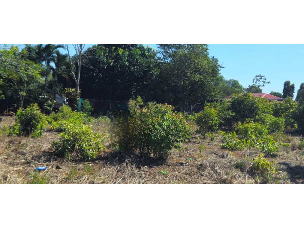 ALQUILO LOTE 900 METROS EN ALGARROBOS - 2