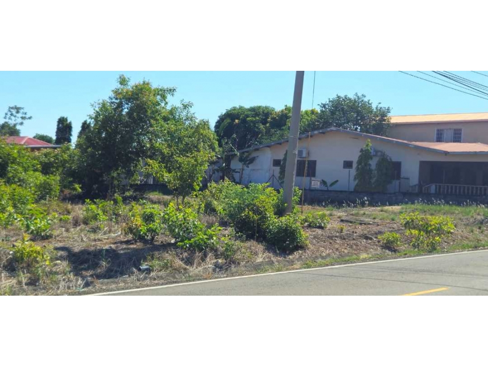 ALQUILO LOTE 900 METROS EN ALGARROBOS - 3