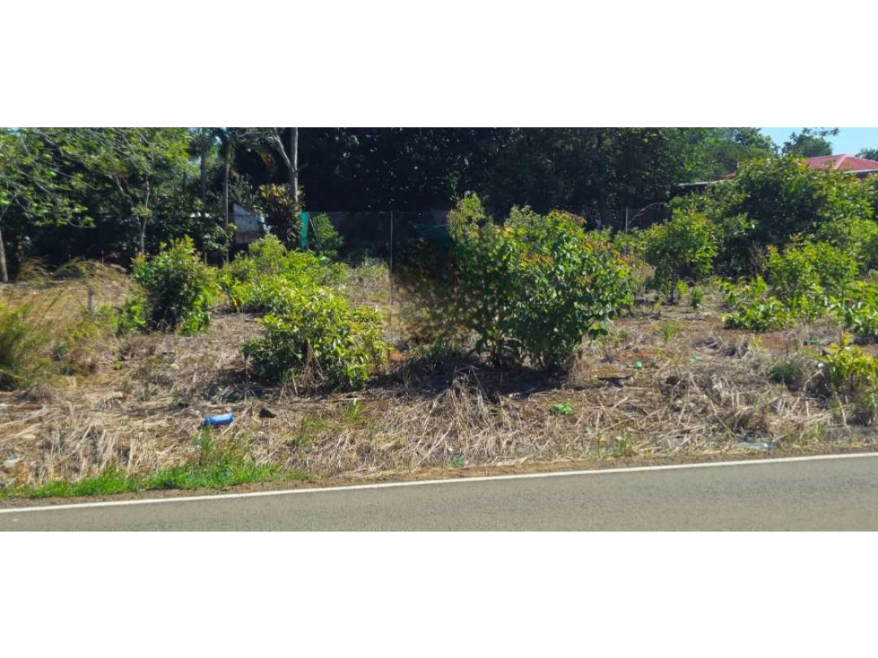 ALQUILO LOTE 900 METROS EN ALGARROBOS - 4