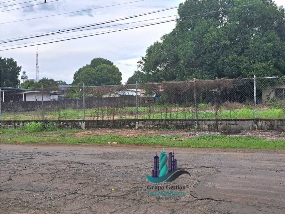 ALQUILO LOTE DE 1600M2 DOLEGUITA - 3
