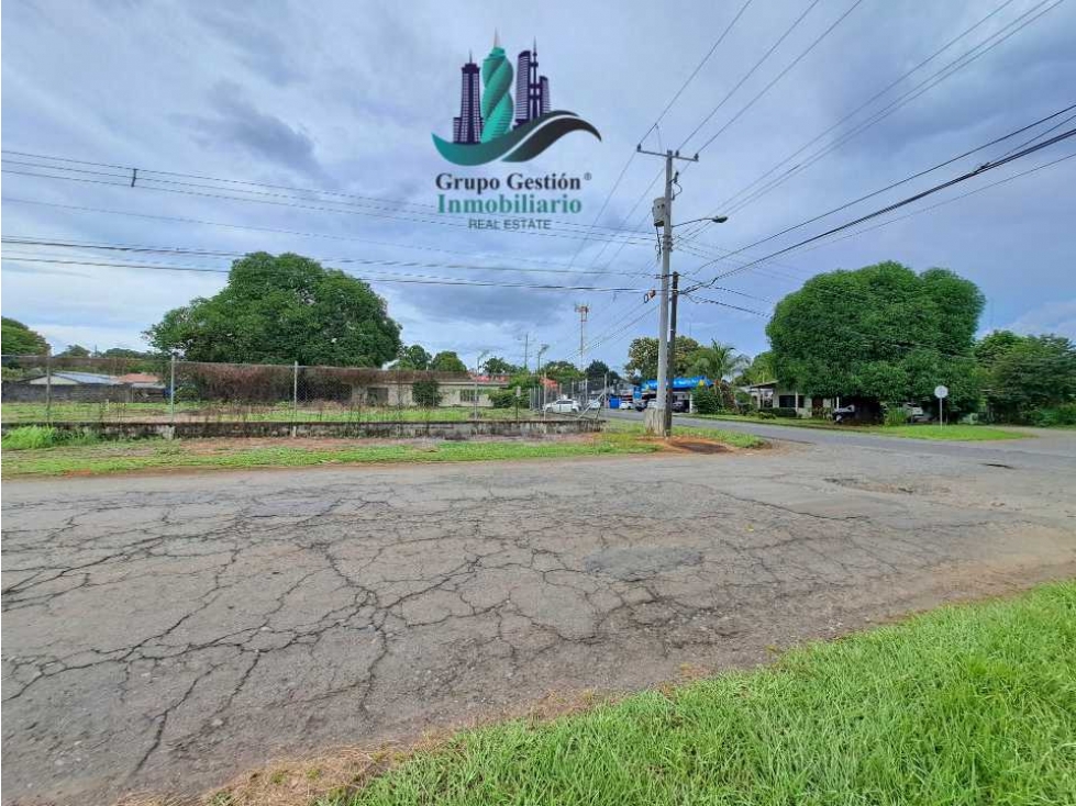 ALQUILO LOTE DE 1600M2 DOLEGUITA - 4