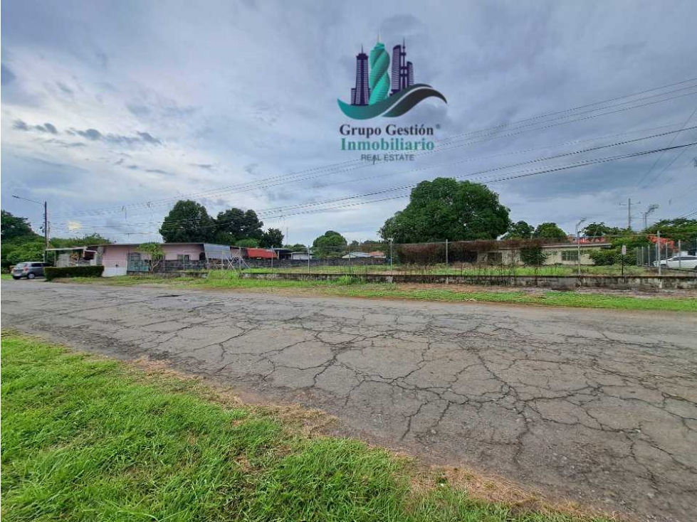 ALQUILO LOTE DE 1600M2 DOLEGUITA - 5