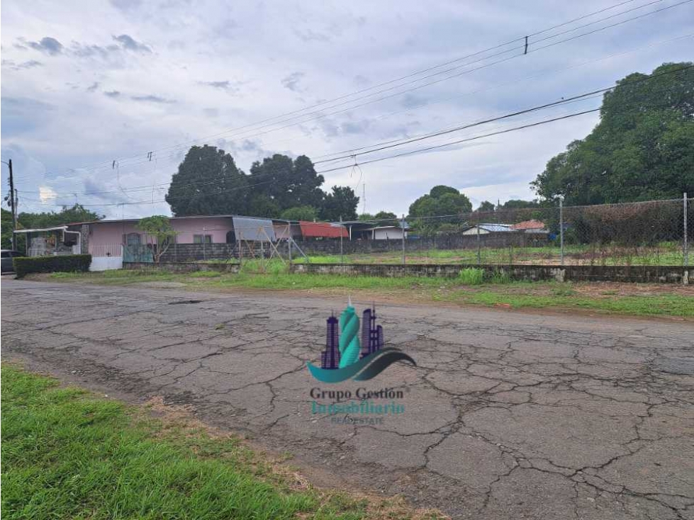 ALQUILO LOTE DE 1600M2 DOLEGUITA - 6
