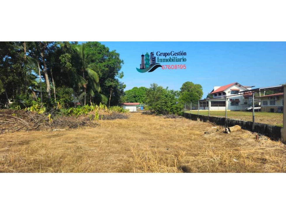 ALQUILO LOTE DE 800 METROS DAVID - 1