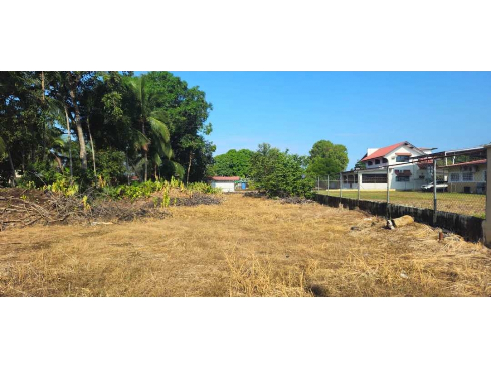 ALQUILO LOTE DE 800 METROS DAVID - 3