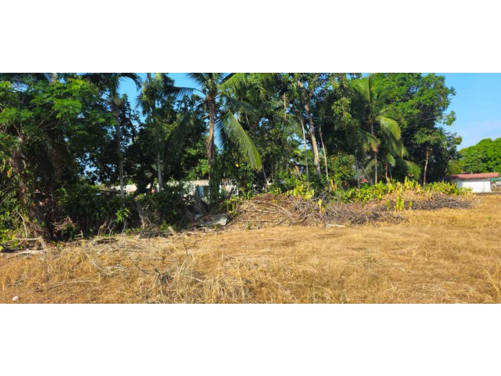 ALQUILO LOTE DE 800 METROS DAVID - 5