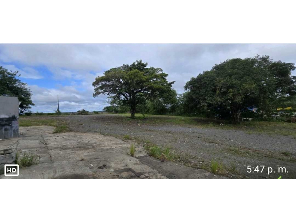 ALQUILO TERRENO EN ARRAIJAN VISTA ALEGRE 6000MTS — foto 3