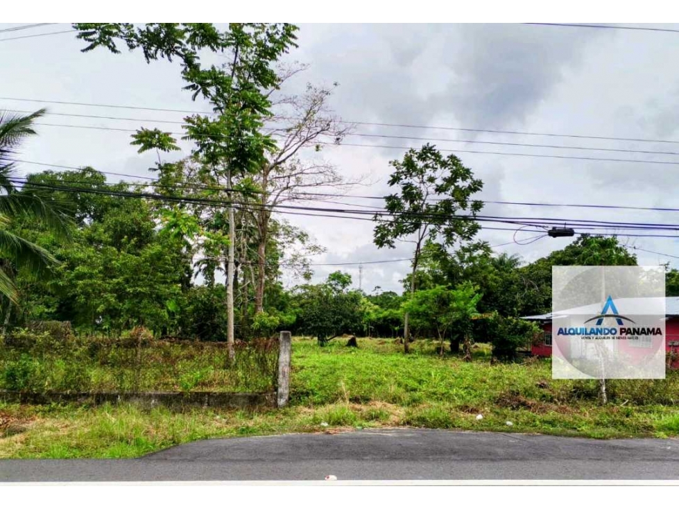 Alquilo terreno en Solano, Bugaba para cualquier actividad! Negociable - 1