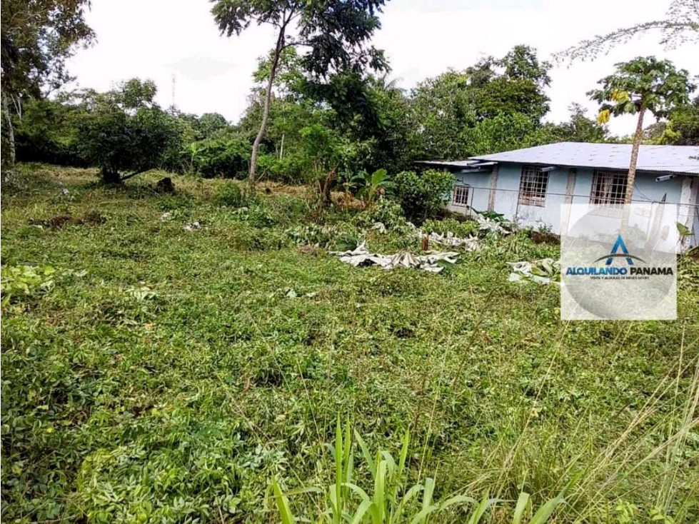 Alquilo terreno en Solano, Bugaba para cualquier actividad! Negociable - 2