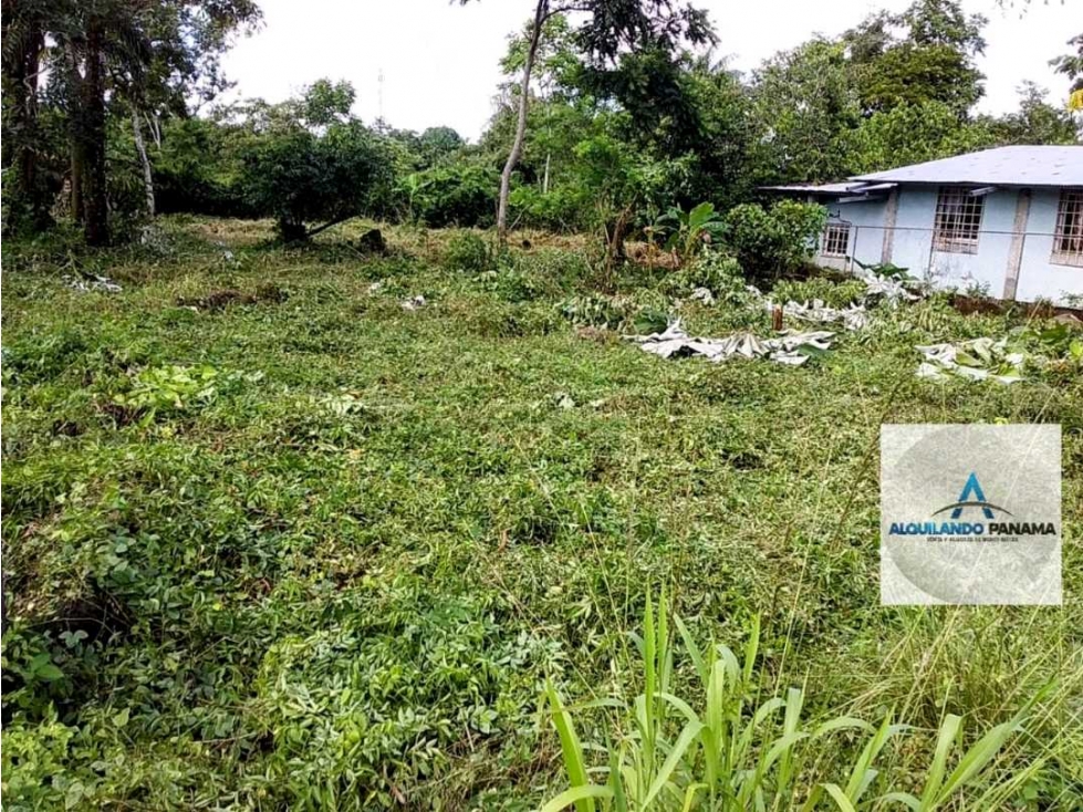 Alquilo terreno en Solano, Bugaba para cualquier actividad! Negociable - 3