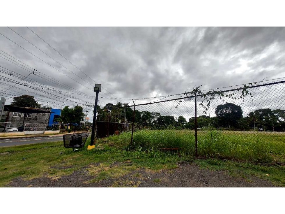 SE ALQUILA O SE VENDE TERRENO EN PEDREGAL - 1