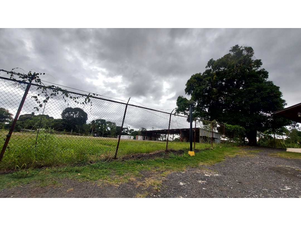 SE ALQUILA O SE VENDE TERRENO EN PEDREGAL - 2