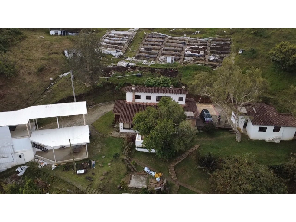 ALQUILO Ó VENDO FINCA EN EL CAPIRO LA CEJA ANTIOQUÍA