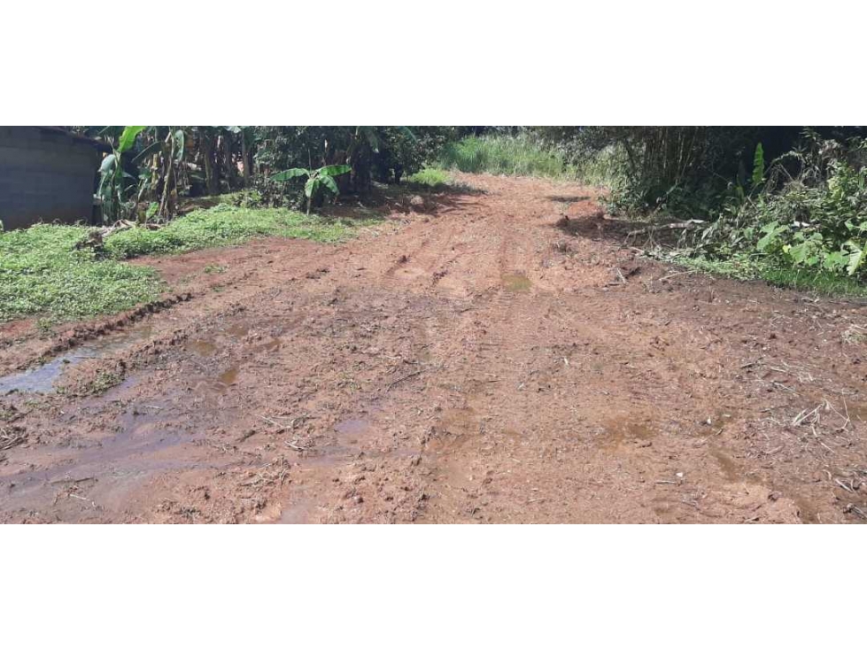 ALQUILO Y VENDO TERRENO DE 1949MTS EN PAMANÁ CHILIBRE - 1
