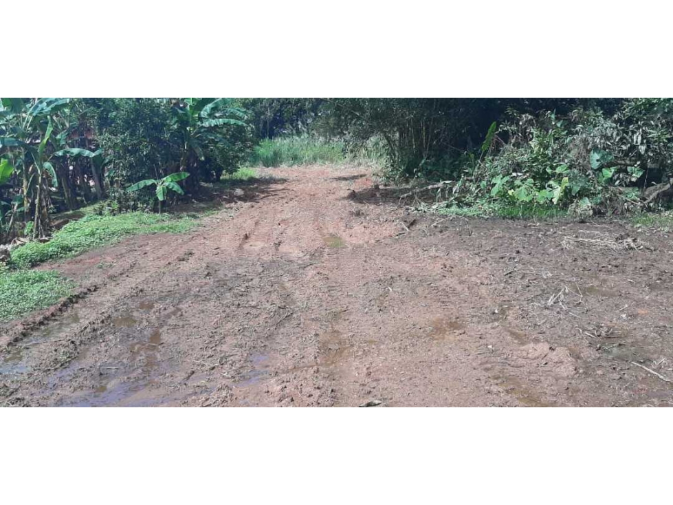 ALQUILO Y VENDO TERRENO DE 1949MTS EN PAMANÁ CHILIBRE - 2