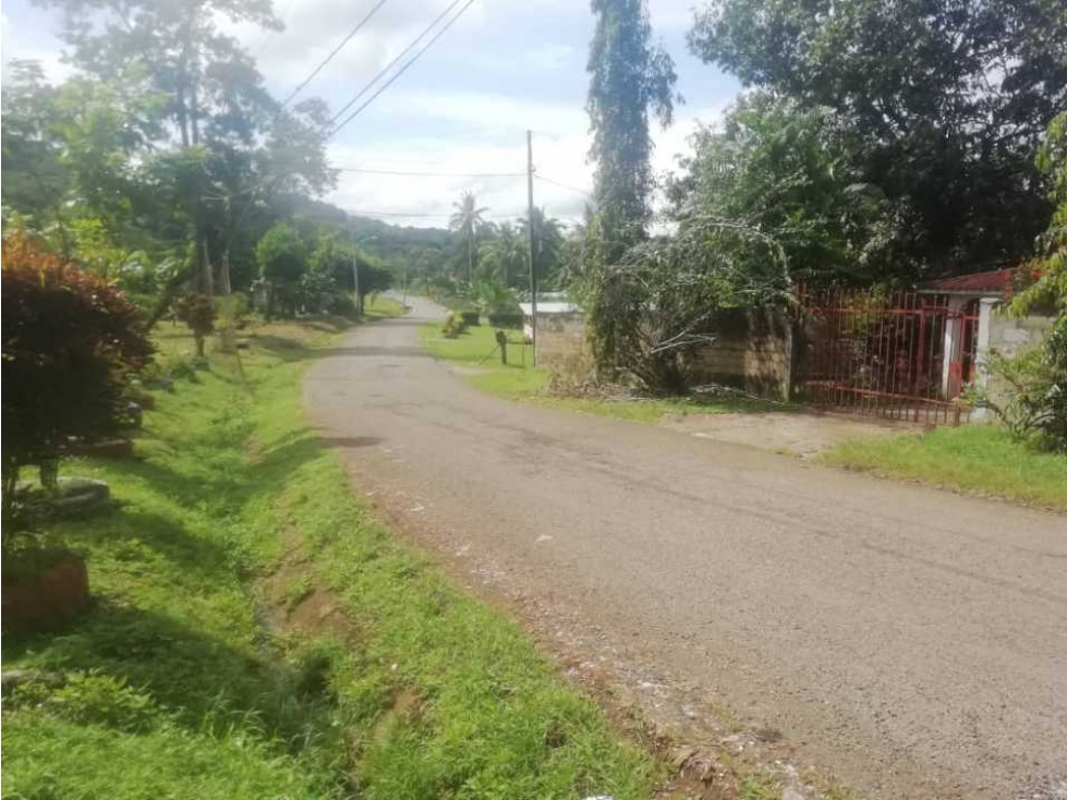 ALQUILO Y VENDO TERRENO DE 1949MTS EN PAMANÁ CHILIBRE - 5