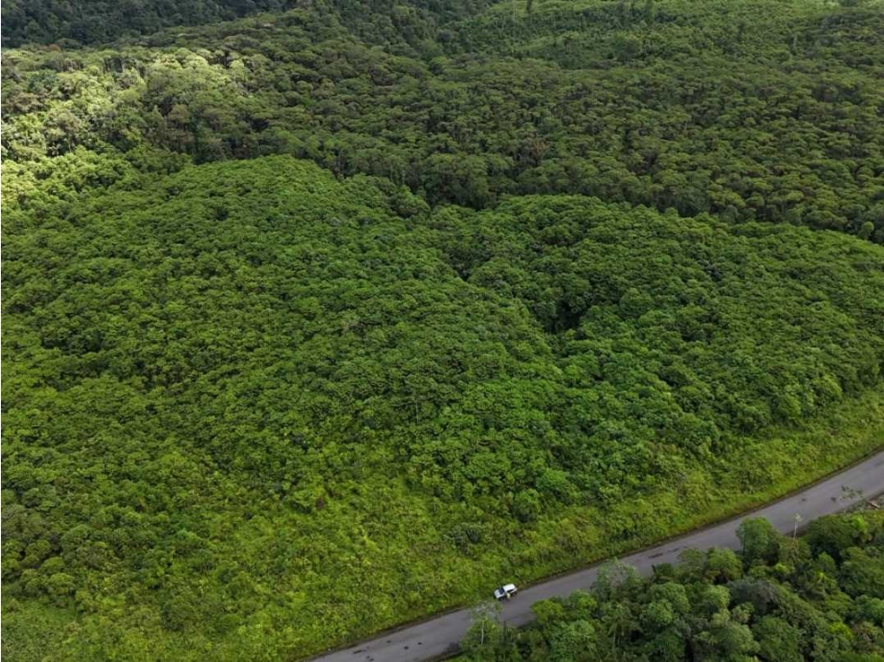 Alto Tambo, San Lorenzo en Esmeraldas, Venta de Terreno, 50,2 Ha - 6