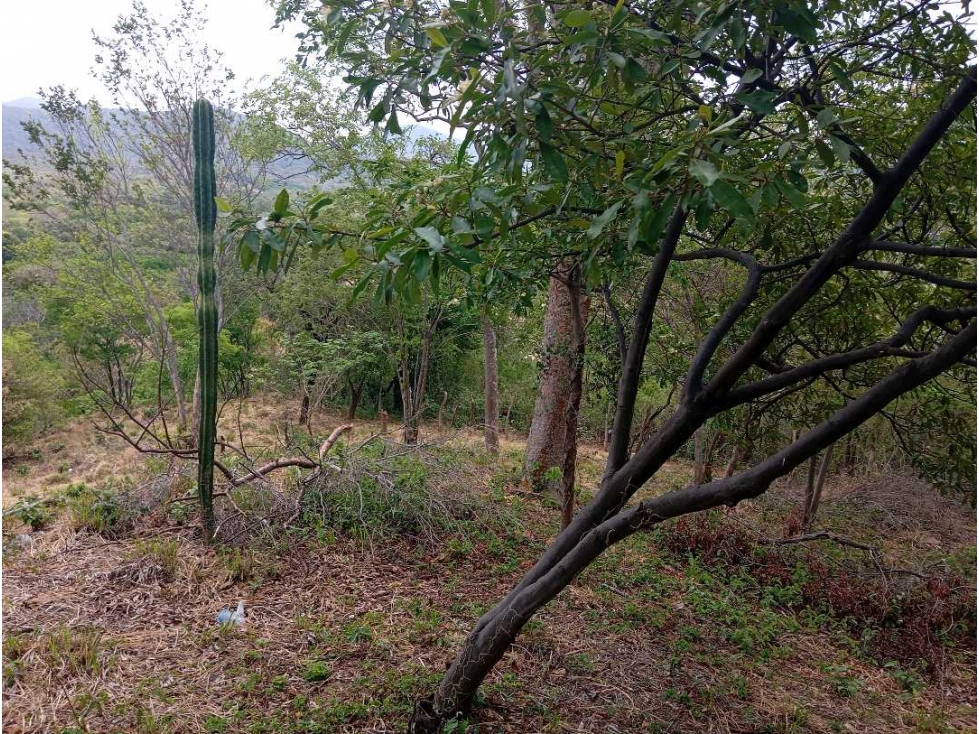 Amplio Lote Cerca Al Rio Bonda En Bonda Santa Marta Colombia — foto 4