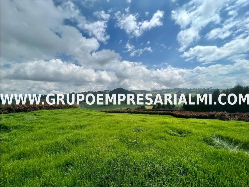 AMPLIO LOTE EN VENTA - SECTOR SAN PEDRO DE LOS MILAGROS COD: 34112 — foto 4