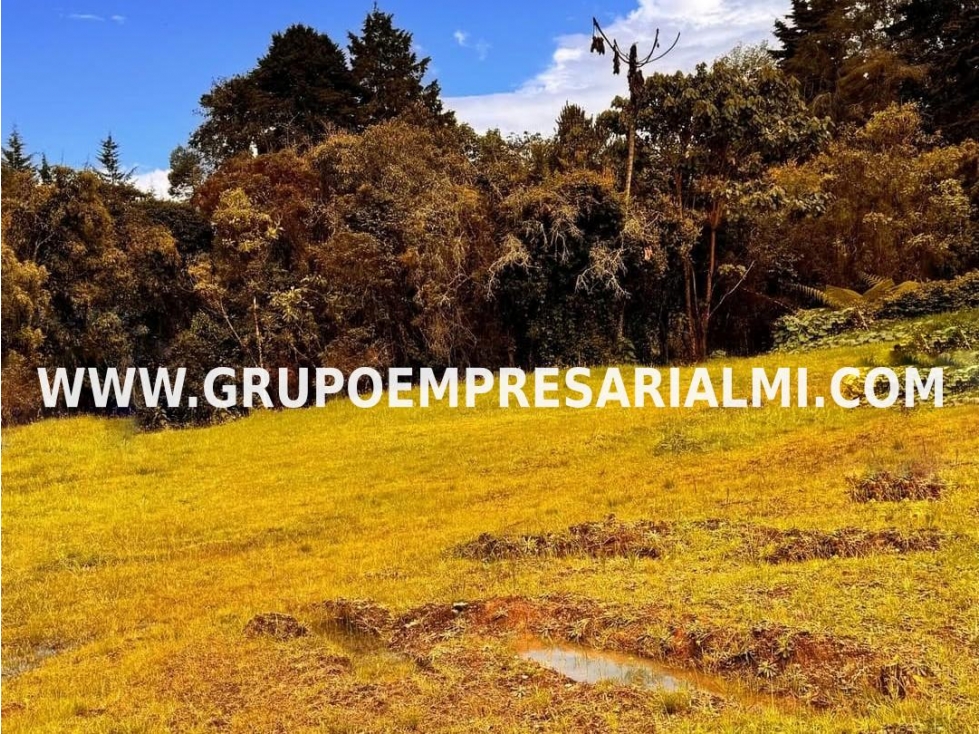 AMPLIO LOTE EN VENTA - SECTOR ALTO DE PALMAS COD: 32534 — foto 2