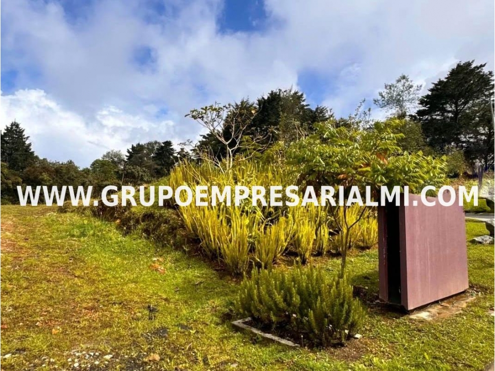 AMPLIO LOTE EN VENTA - SECTOR ALTO DE PALMAS COD: 32534 — foto 5