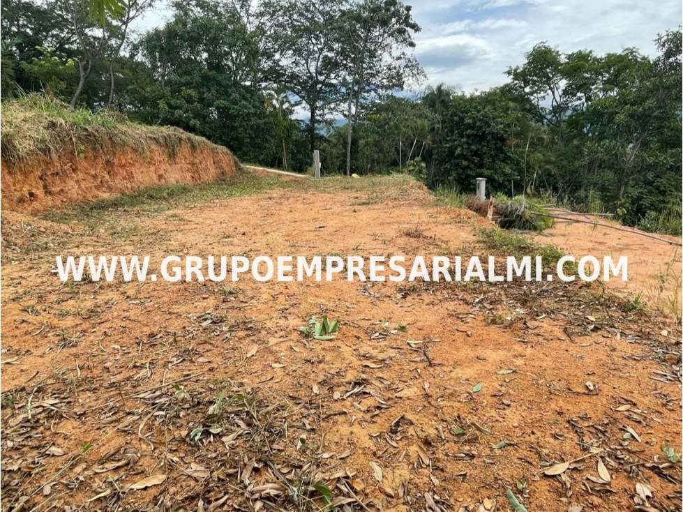 AMPLIO LOTE EN VENTA - SECTOR EL PORVENIR COD: 33461
