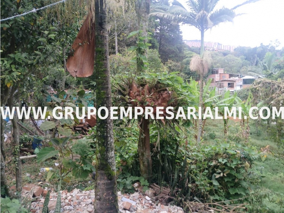 AMPLIO LOTE EN VENTA - SECTOR LA CAMPIÑA COD: 32921 — foto 2