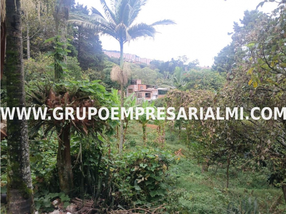 AMPLIO LOTE EN VENTA - SECTOR LA CAMPIÑA COD: 32921 — foto 4