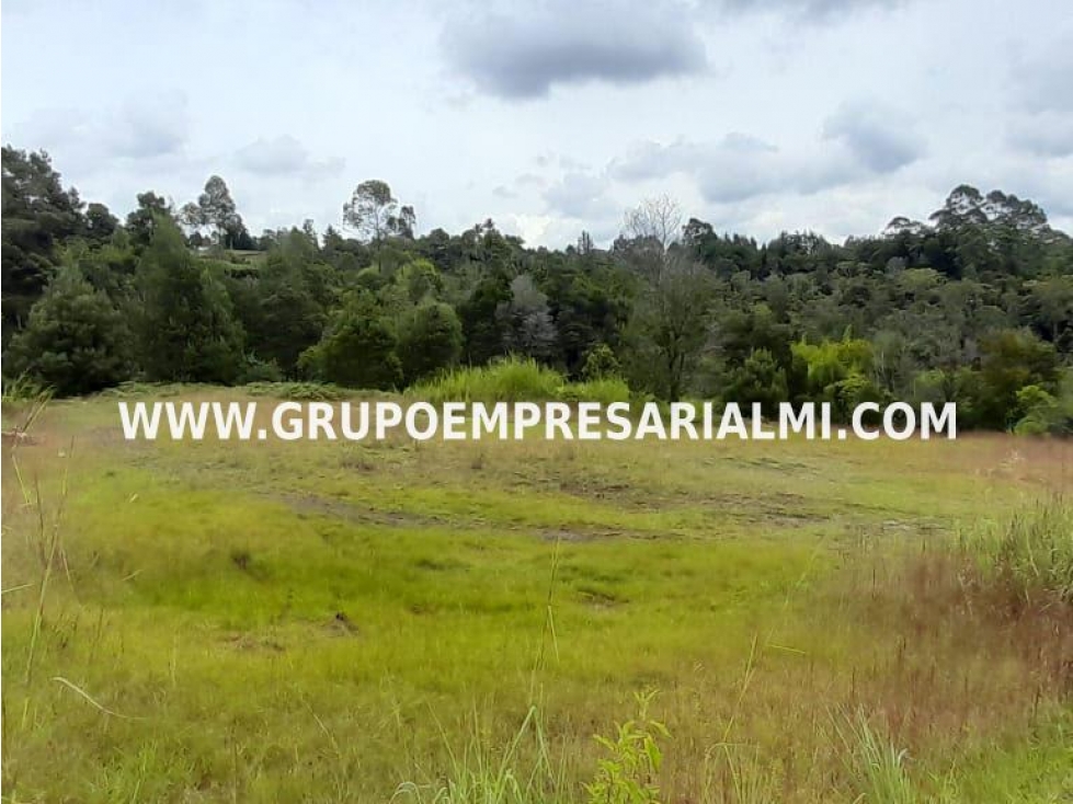AMPLIO LOTE EN VENTA - SECTOR SAN VICENTE COD: 33058